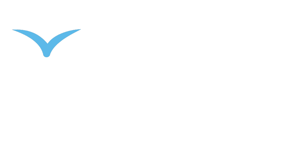Live Free Insurance Advisors live-free-advisors-logo-3